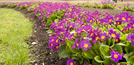 Similar image 160032