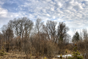 Similar image 160046