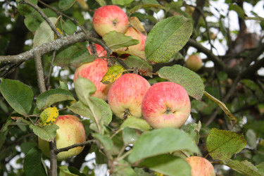 Similar image 160049