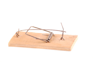 Similar image 160054