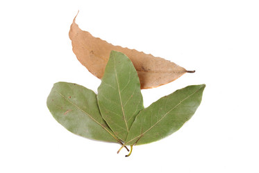 Similar image 160057