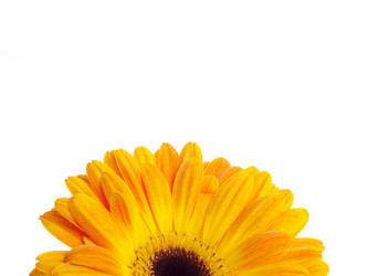 Similar image 160092