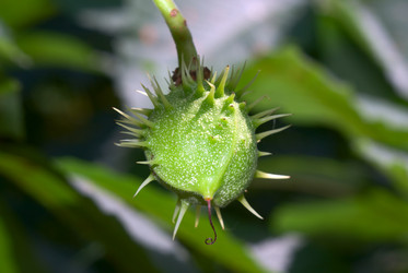 Similar image 160099