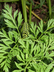 Similar image 160119