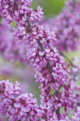 Similar image 160130