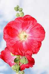 Similar image 160132