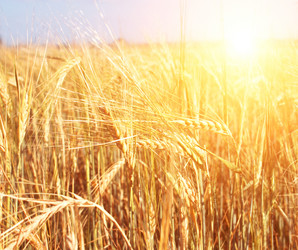 Similar image 160135