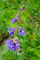 Similar image 160136