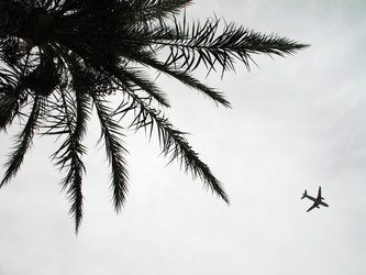 Similar image 160162