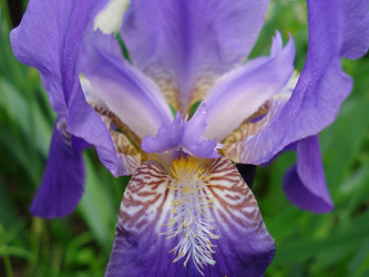 Similar image 160193