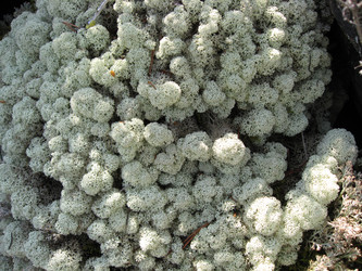 Similar image 160198