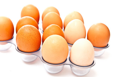 Similar image 160204