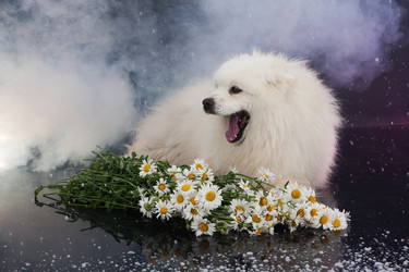 Similar image 160216