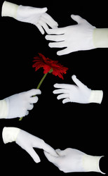 Similar image 160229