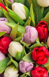 Similar image 160249