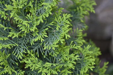 Similar image 160252