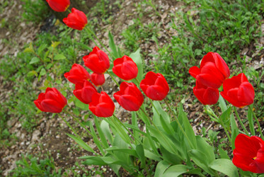 Similar image 160259