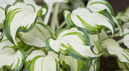 Similar image 160261