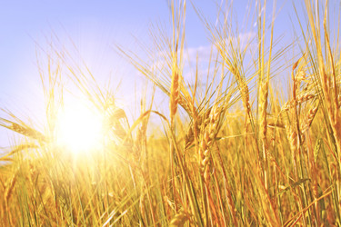 Similar image 160271