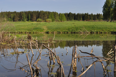 Similar image 160303