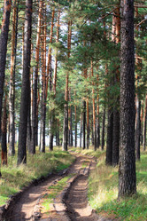 Similar image 160316