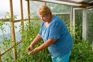 Similar image 160362