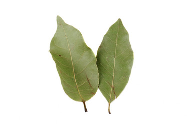 Similar image 160364