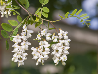 Similar image 160367