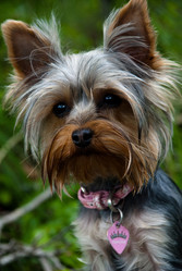 Similar image 160399