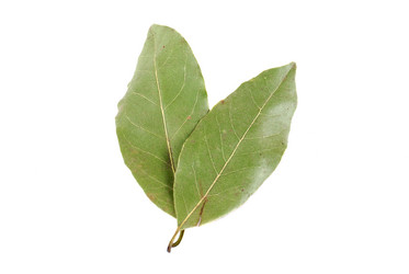 Similar image 160418