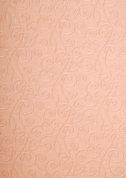 Similar image 160420