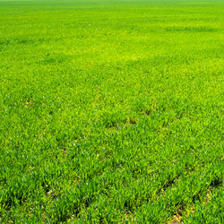 Similar image 160421