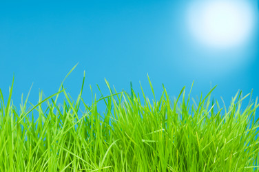 Similar image 160422