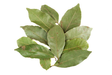 Similar image 160430