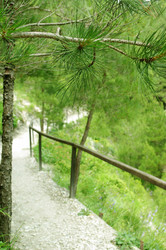 Similar image 160431