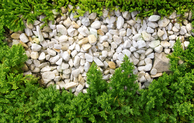 Similar image 160459