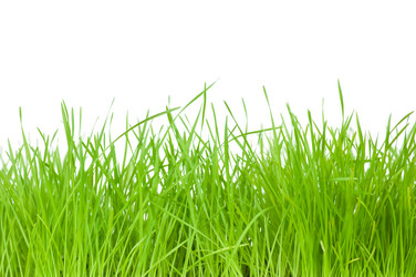 Similar image 160481