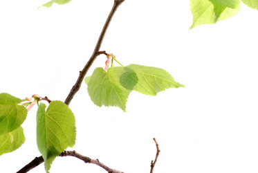 Similar image 160487