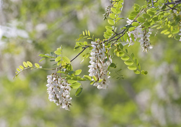 Similar image 160503