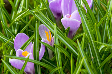 Similar image 160507