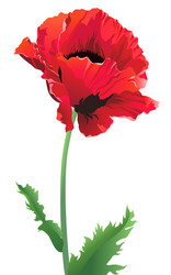 Similar image 160510