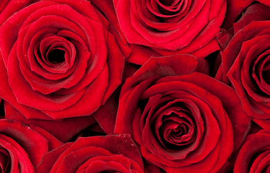 Similar image 160517