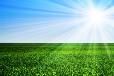 Similar image 160543