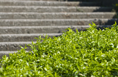 Similar image 160566