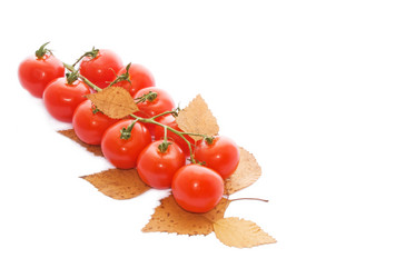 Similar image 160569