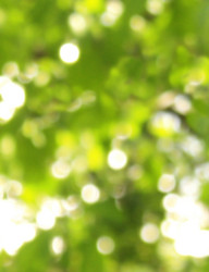 Similar image 160590