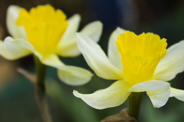 Similar image 160607