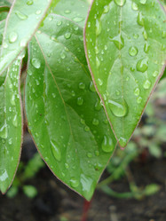 Similar image 160614