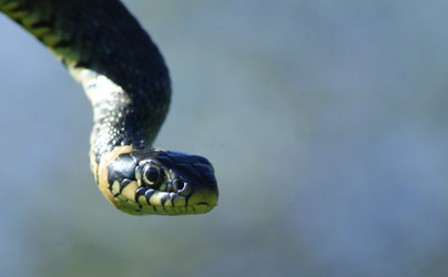 Similar image 160644