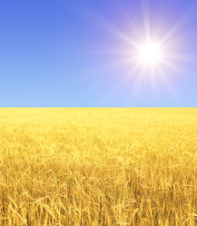 Similar image 160646